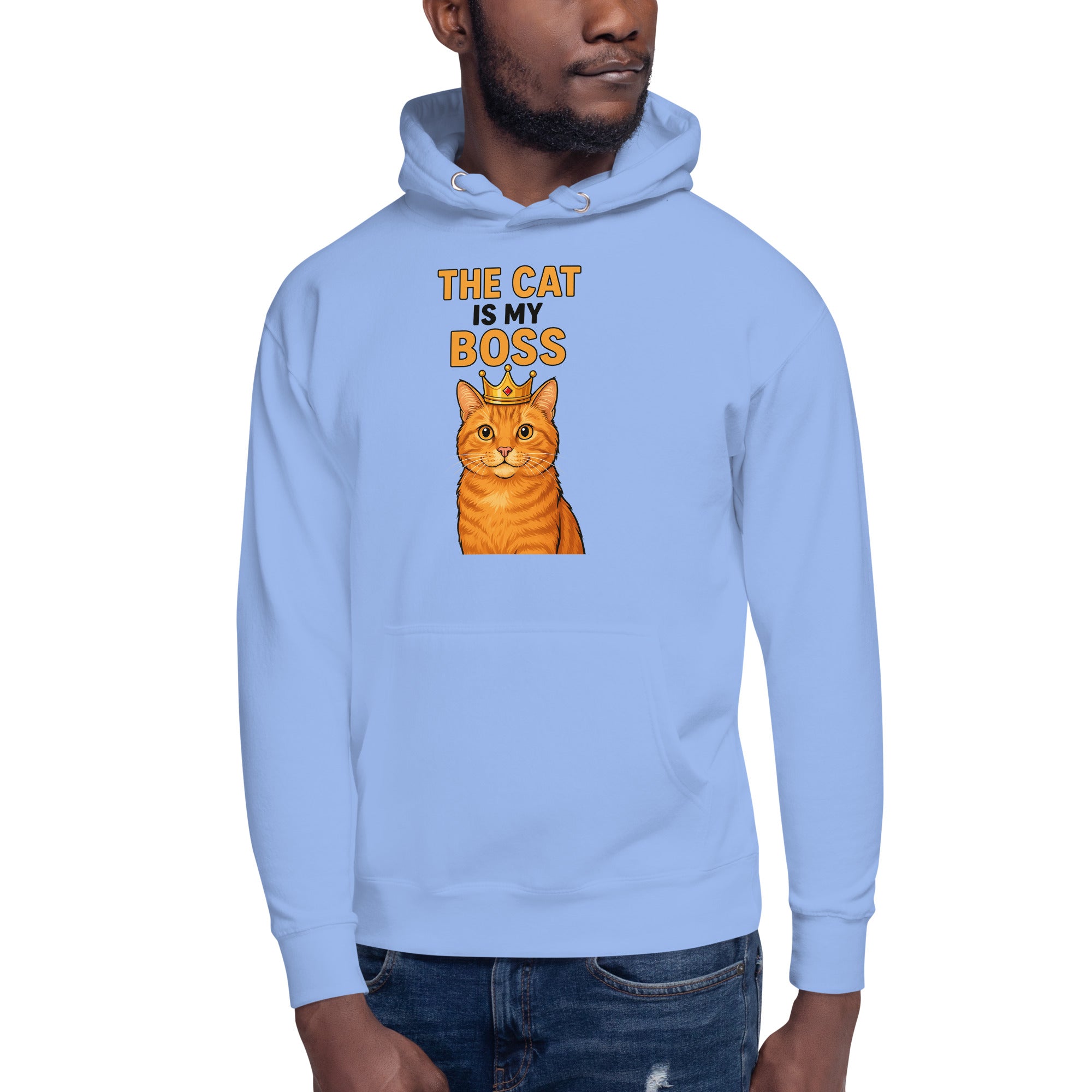 Light blue hoodie with a cat graphic and text on a white background